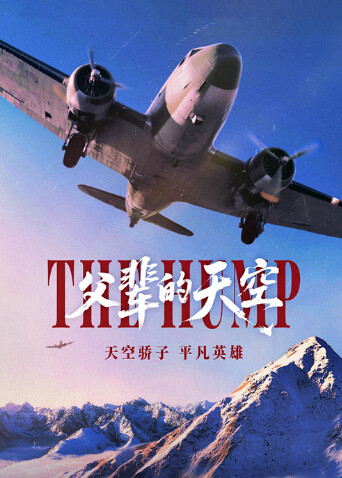 父辈的天空封面图