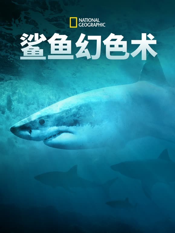 鲨鱼幻色术封面图