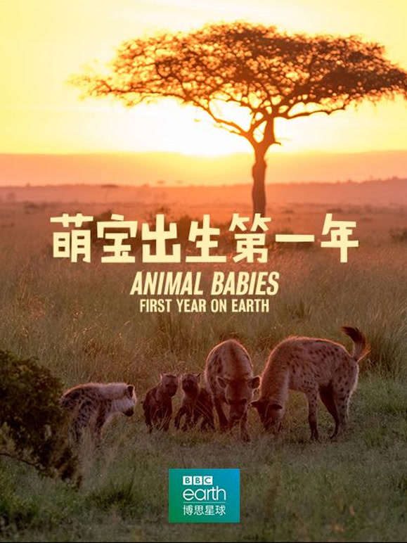 萌宝出生第一年封面图