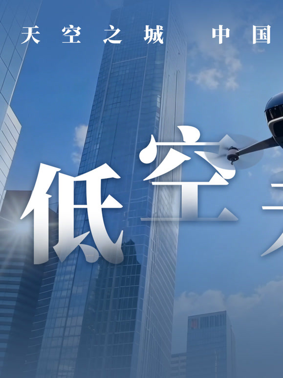 天空之城：中国低空革命封面图