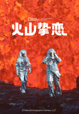 火山挚恋封面图