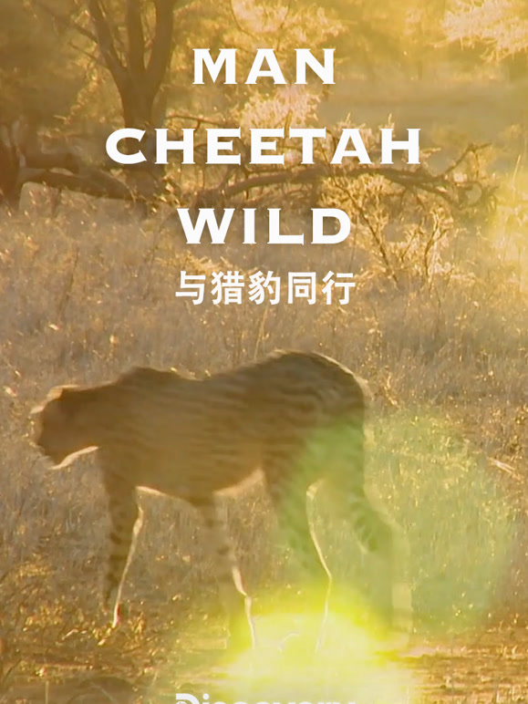与猎豹同行封面图