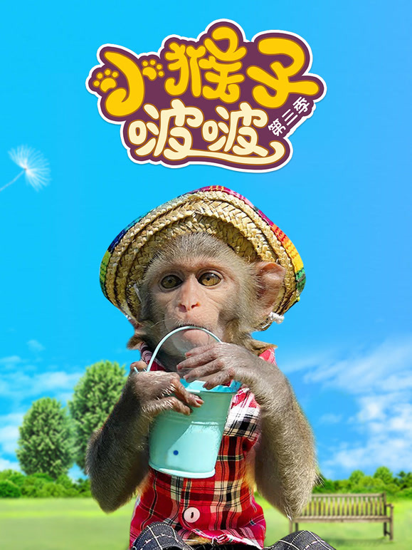 小猴子啵啵 第三季封面图
