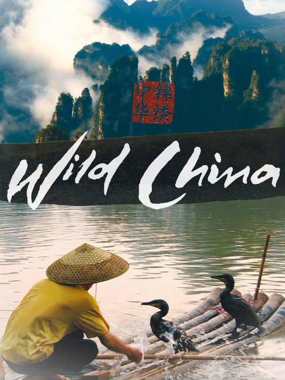 美丽中国封面图