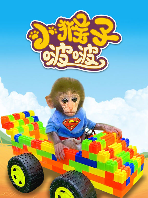 小猴子啵啵封面图