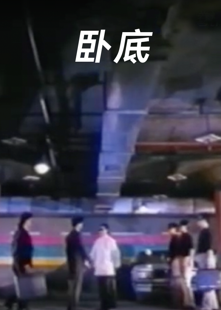 卧底封面图