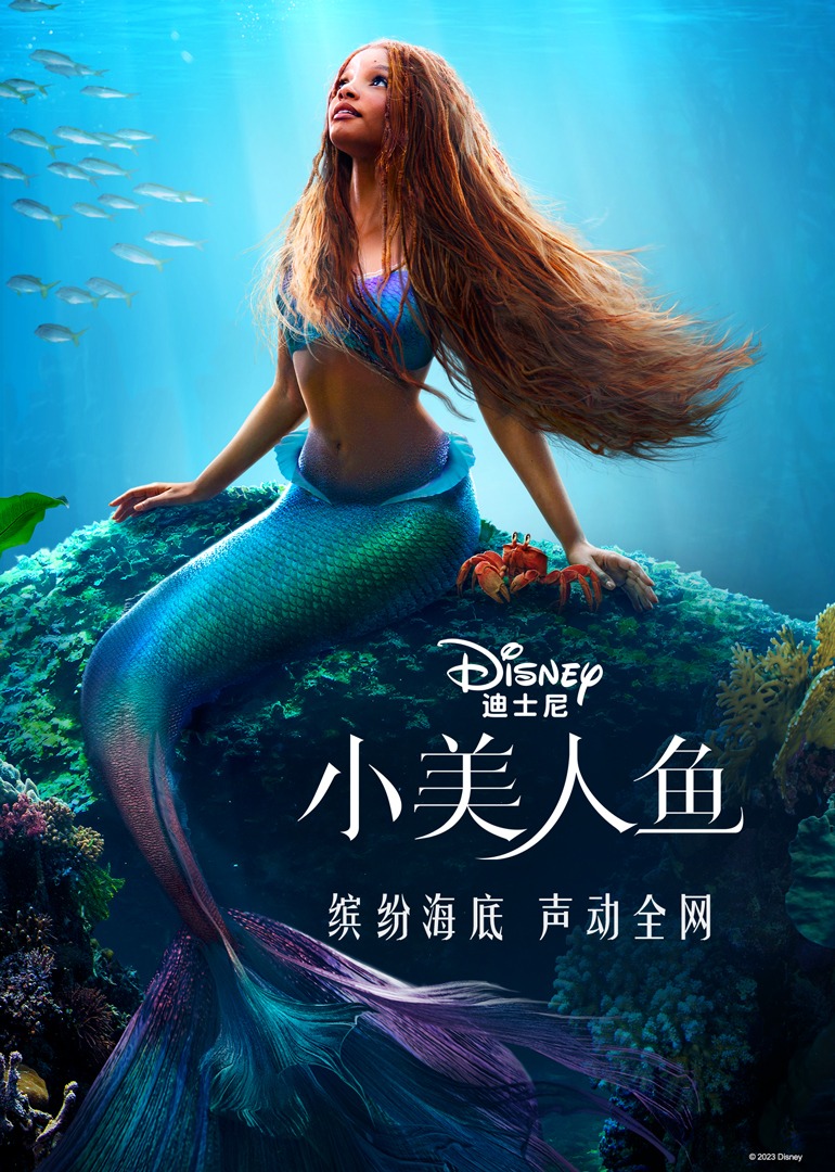 小美人鱼封面图