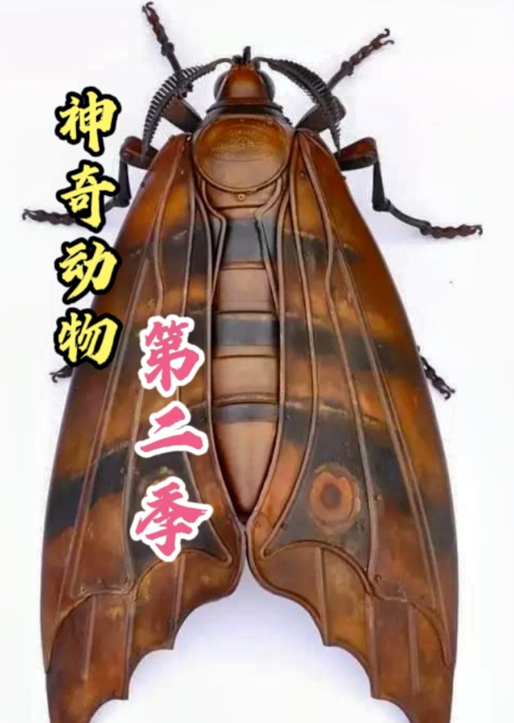 神奇动物封面图