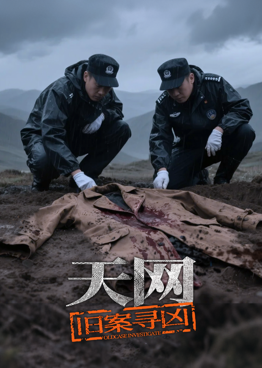天网：旧案寻凶封面图