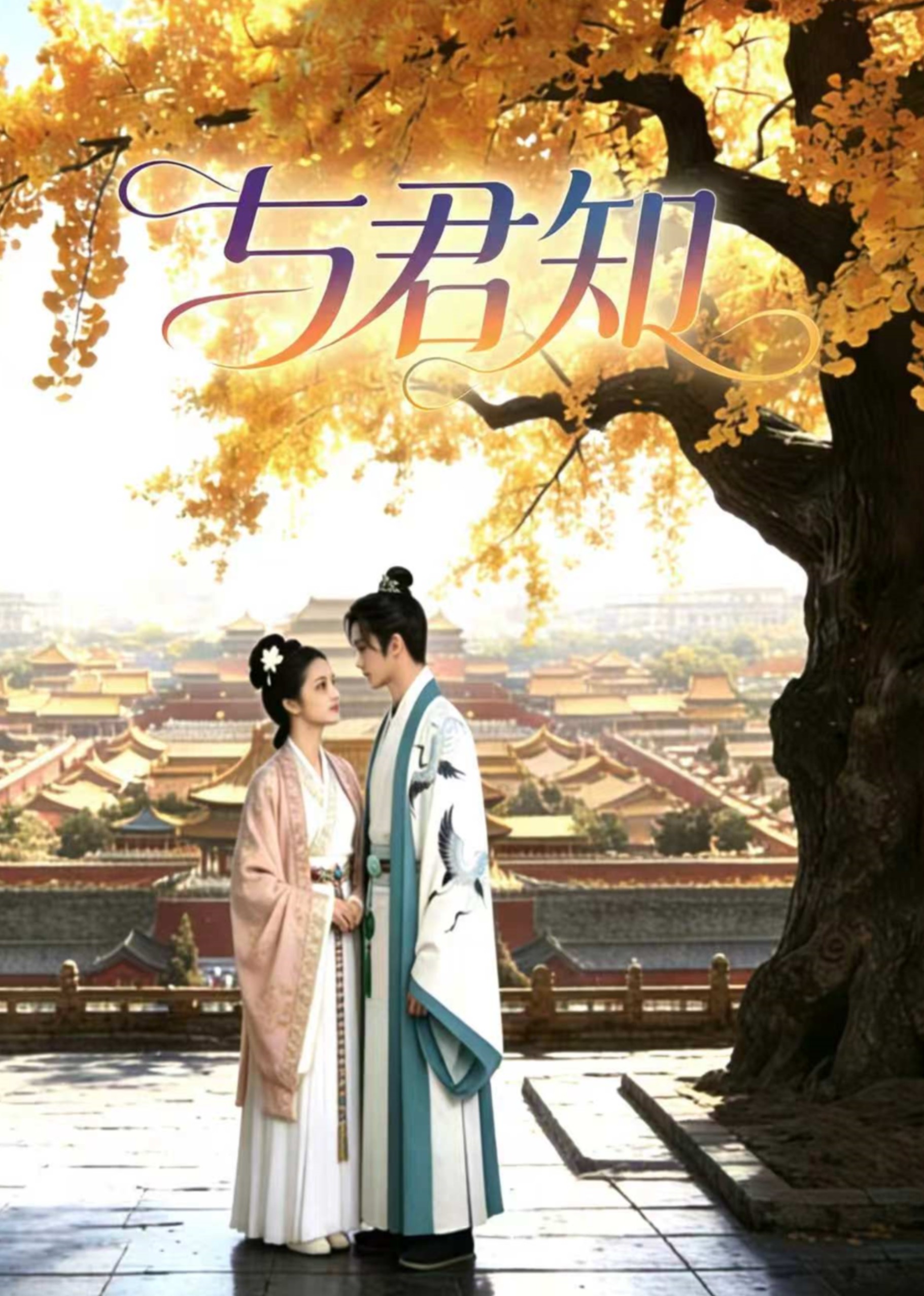 与君知封面图