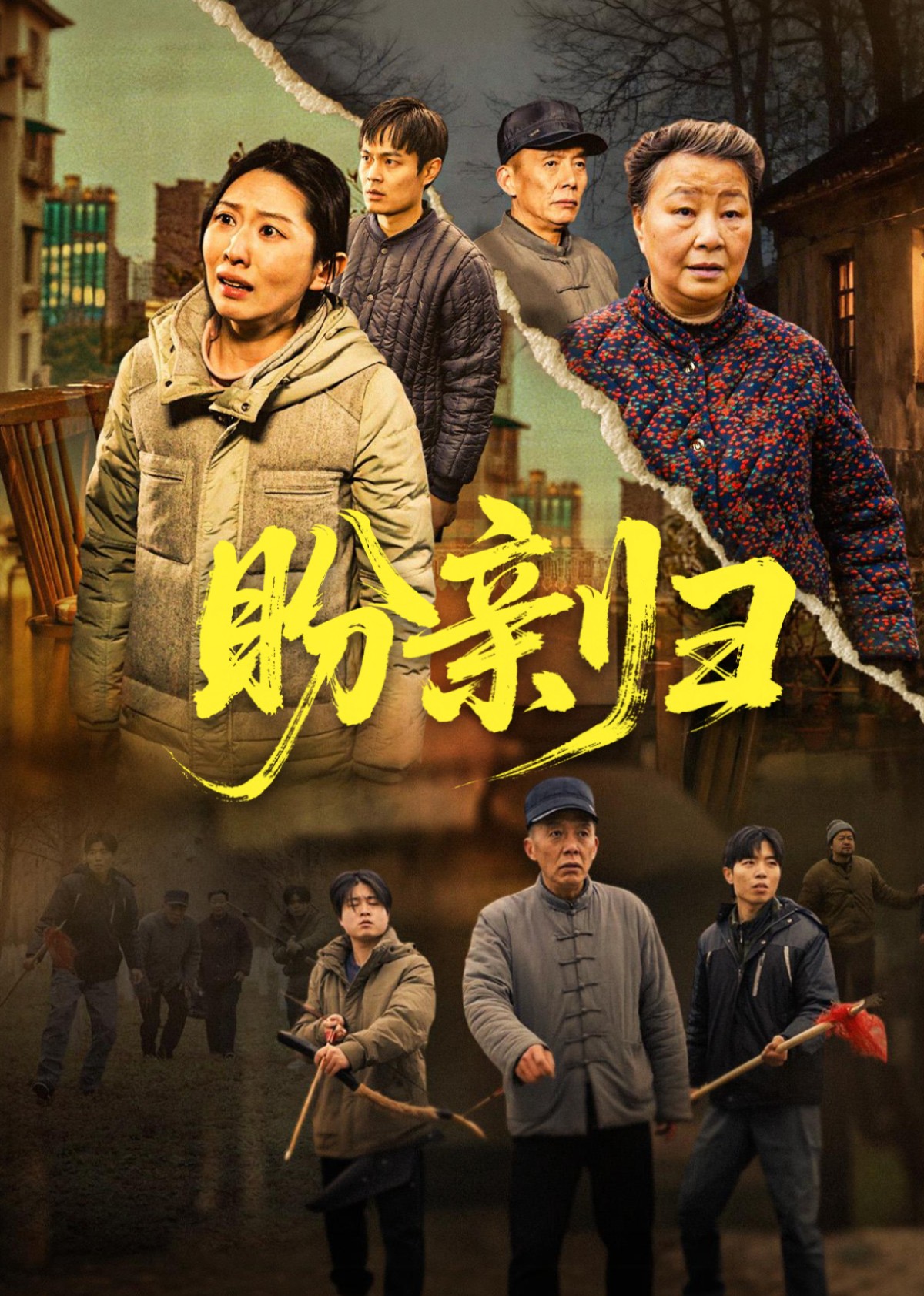 盼亲归封面图